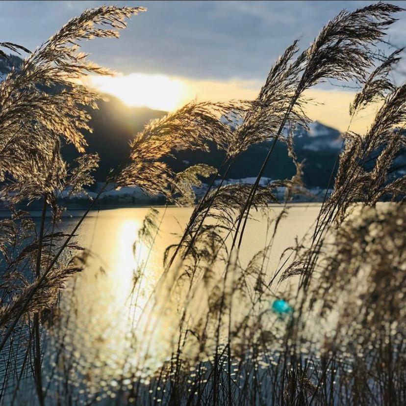 Wolfgangsee Seeblickplatzl 220 - Mit Tollem Seeblick! Strobl Kültér fotó