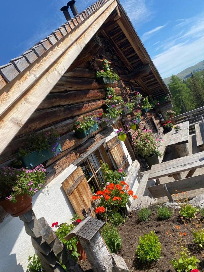 Wolfgangsee Seeblickplatzl 220 - Mit Tollem Seeblick! Strobl Kültér fotó